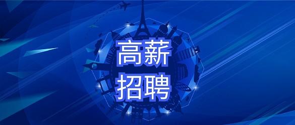 投标保证金保函和履约保函的区别